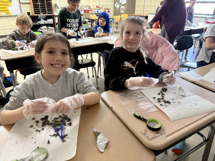 owl pellets in science with kids smiling