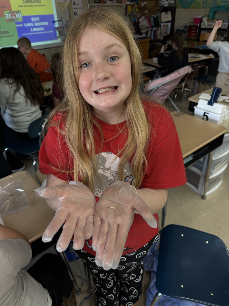 owl pellets in science with kids smiling