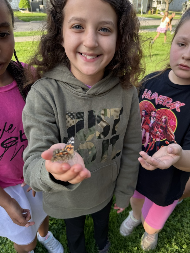 butterfly release