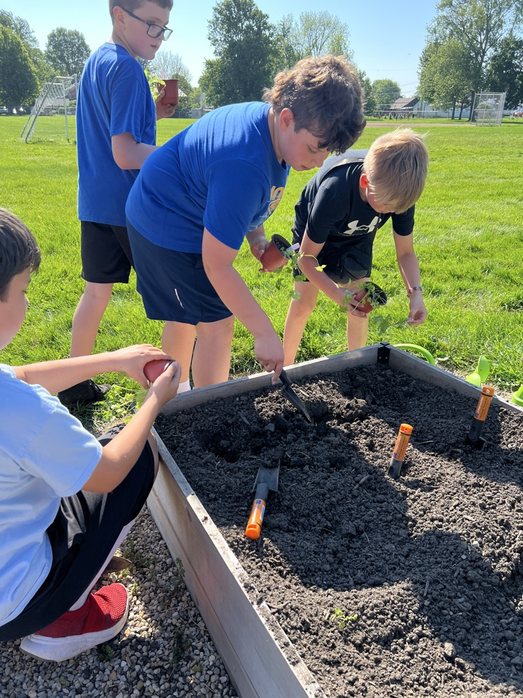 students planting