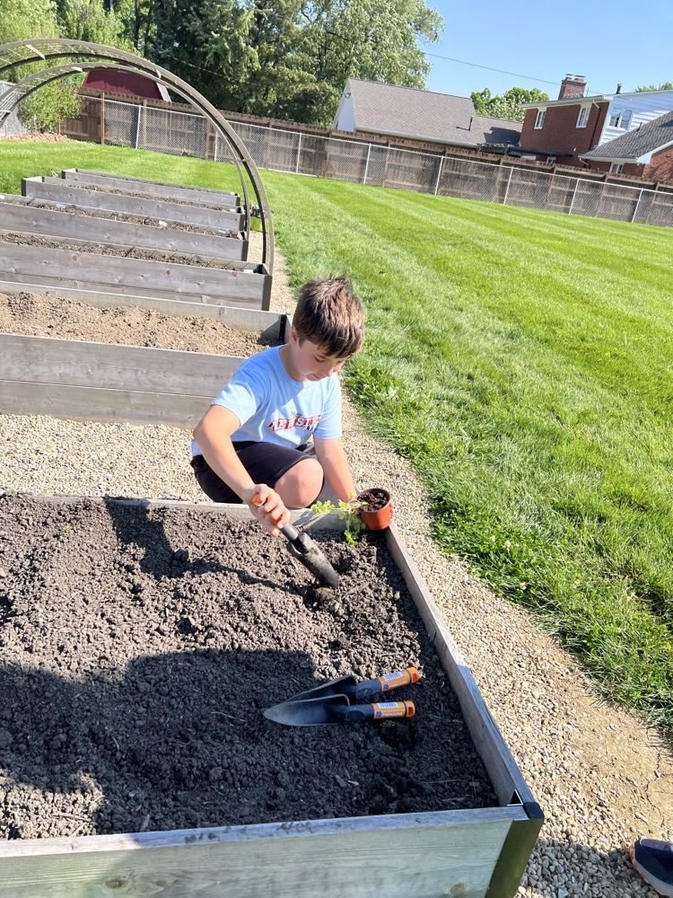 planting
