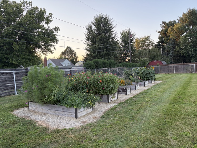 garden