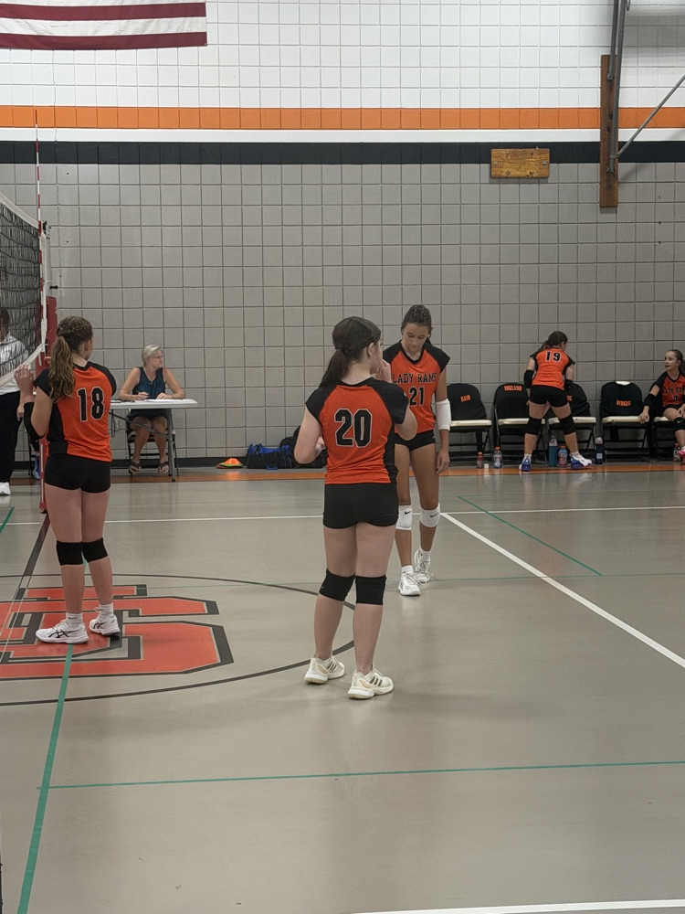 vb