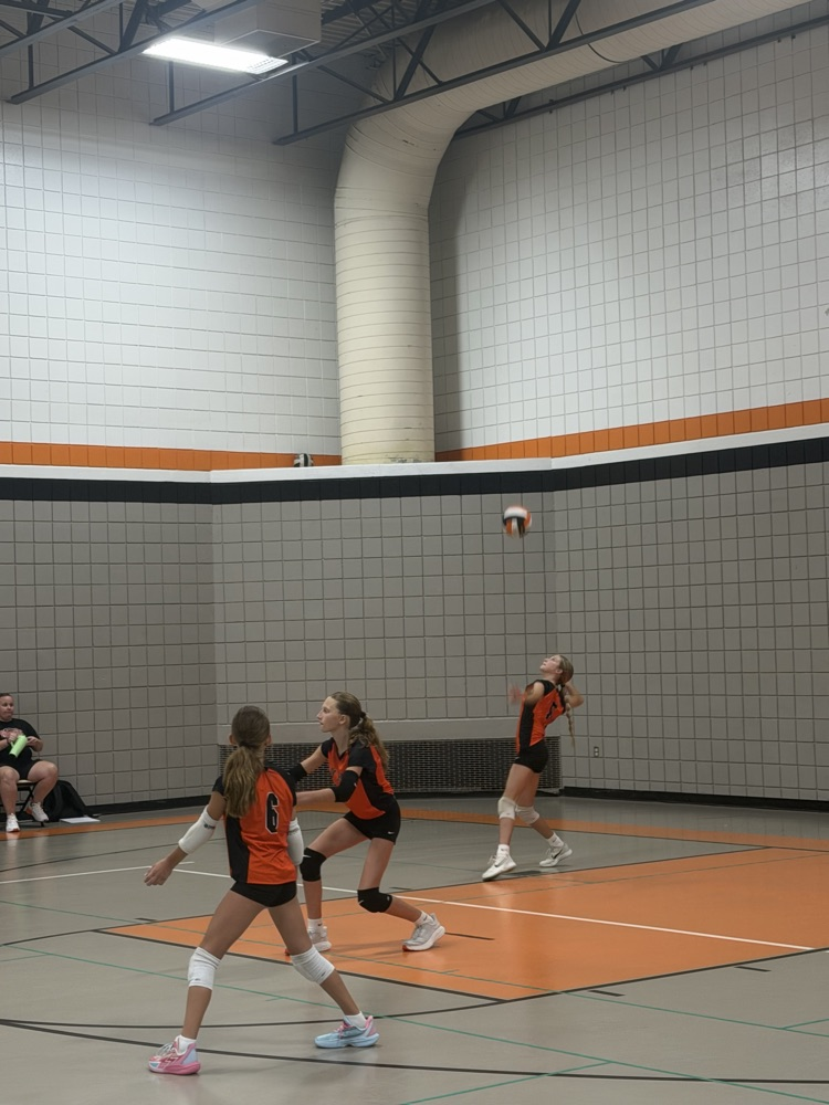 vb