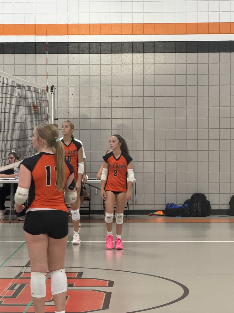 vb