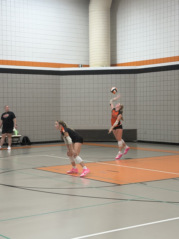 vb