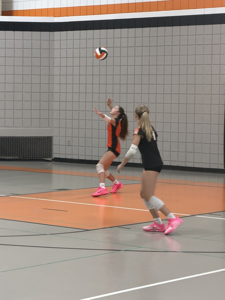 vb