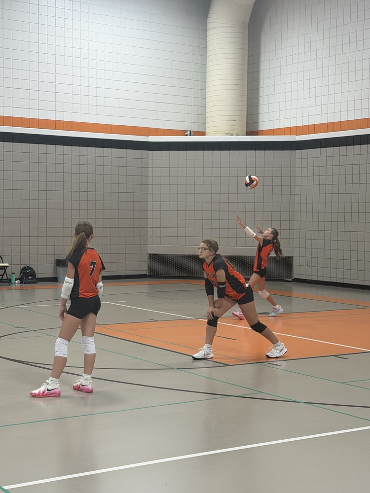 vball