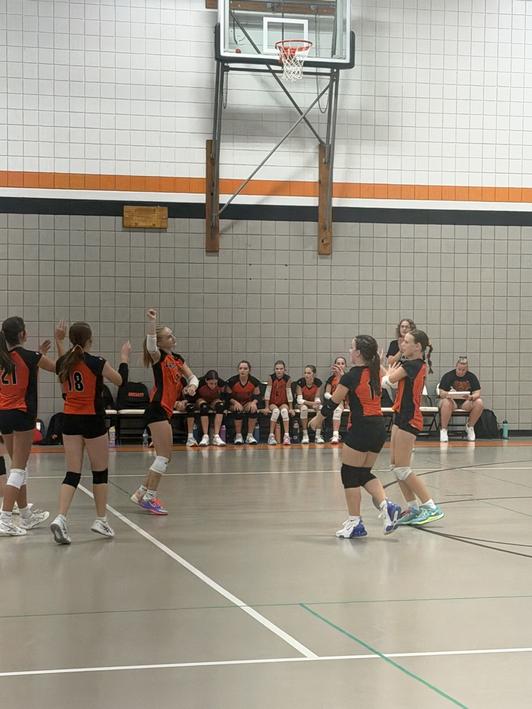 vball