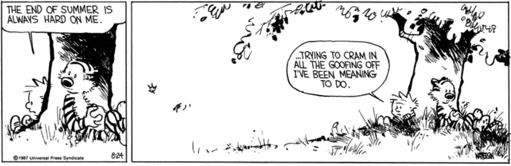 Calvin & Hobbes