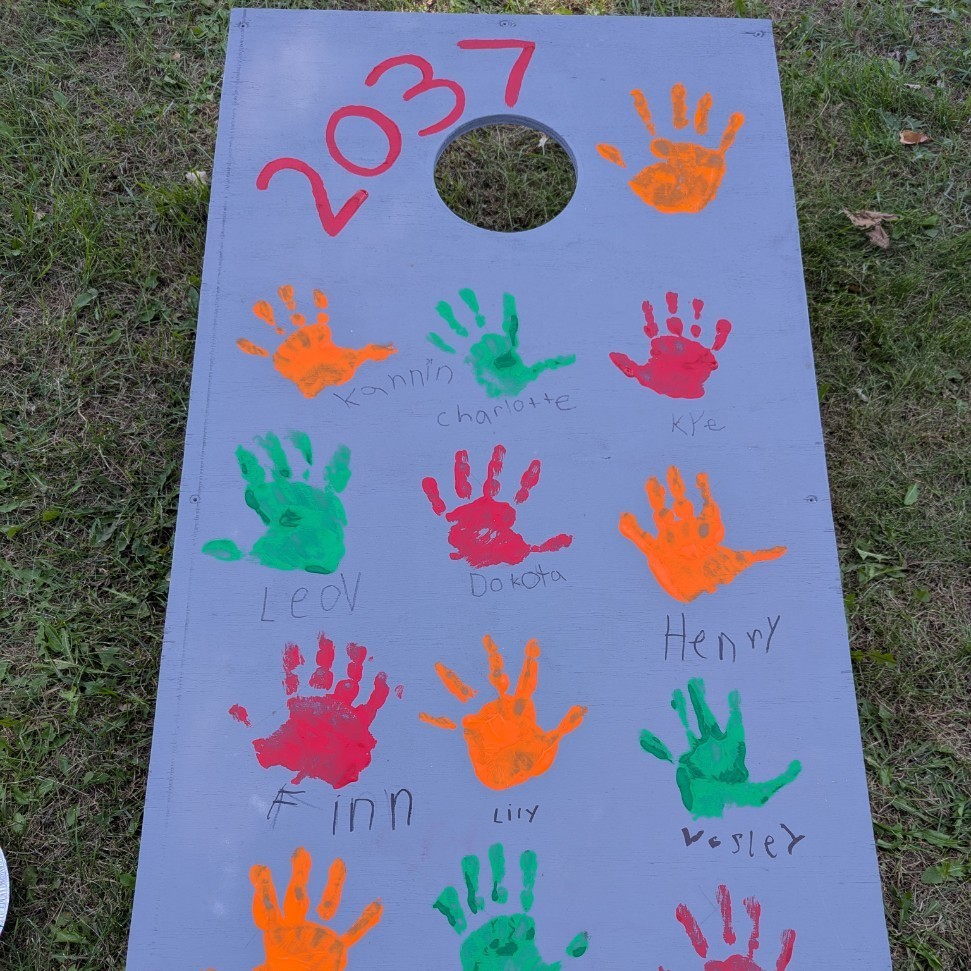 boards 