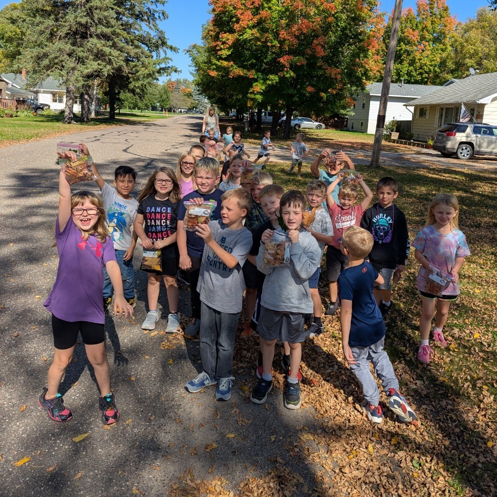 leaf hunt