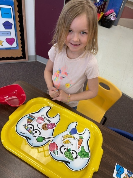 Healthy and Not Healthy Foods