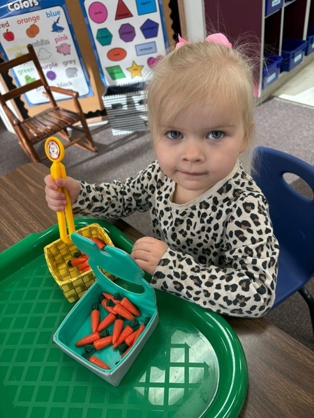 3 year old preschool