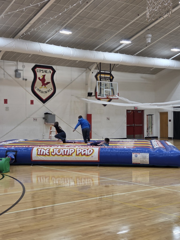 Carnival Jump Pad