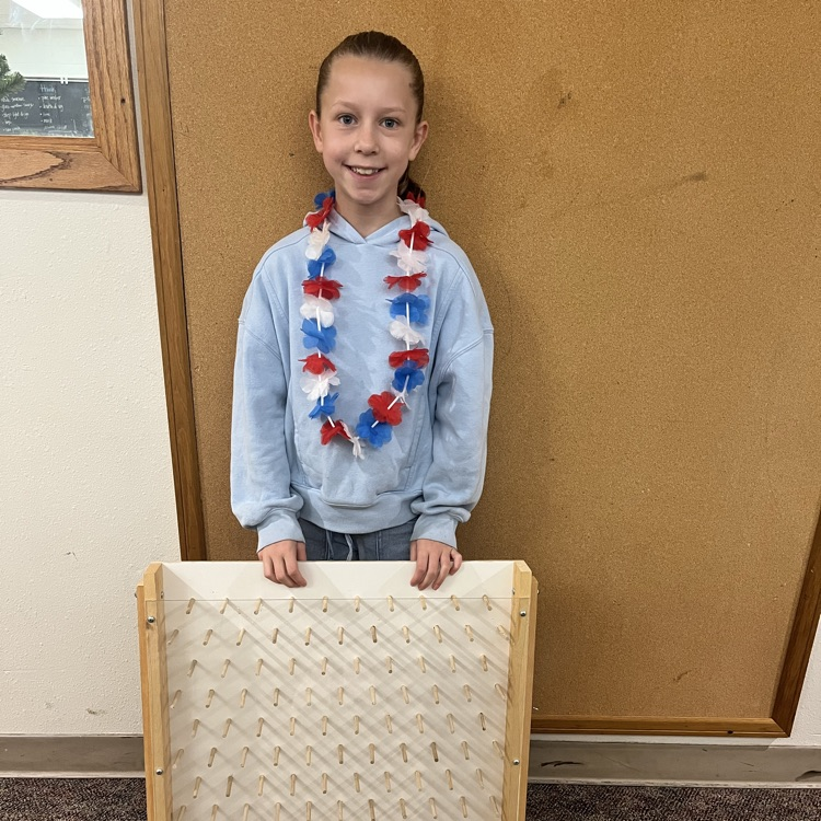 Plinko board made by Emery