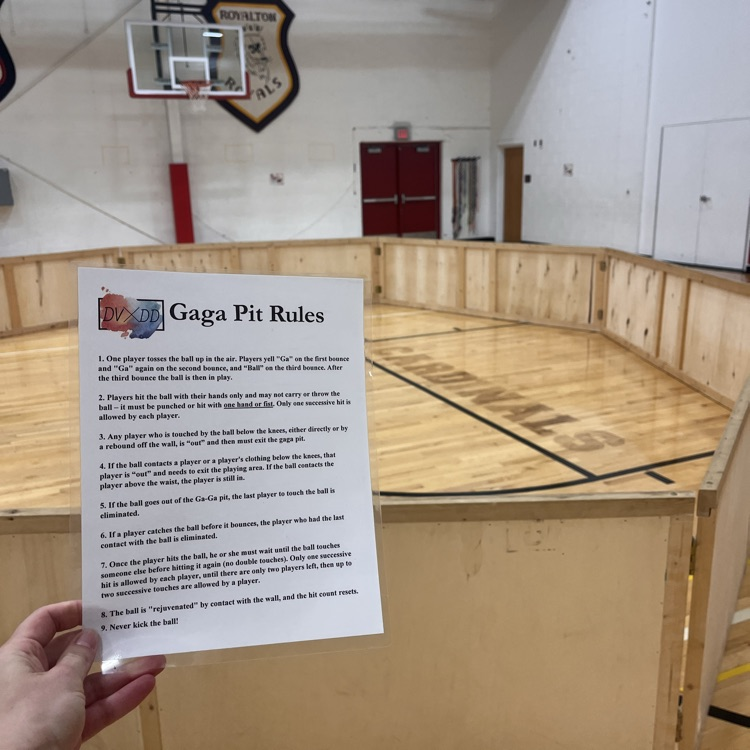 Gaga Ball