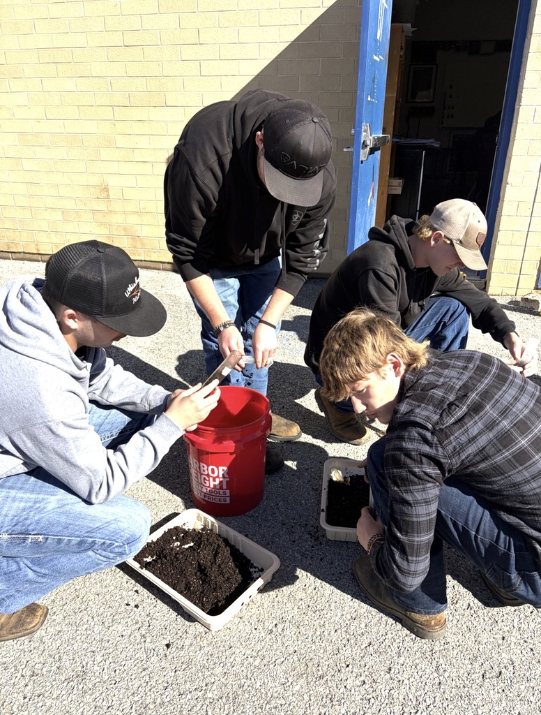 Students learning through a lab experiment. 