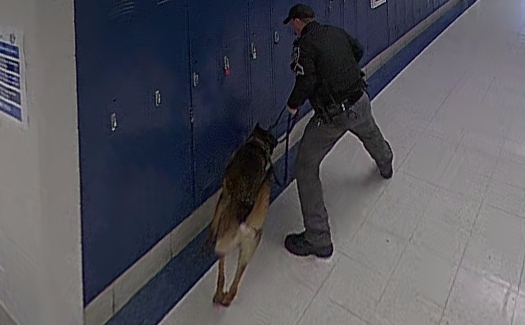 Image of Upshur County Sheriff Department Deputy and drug search dog.
