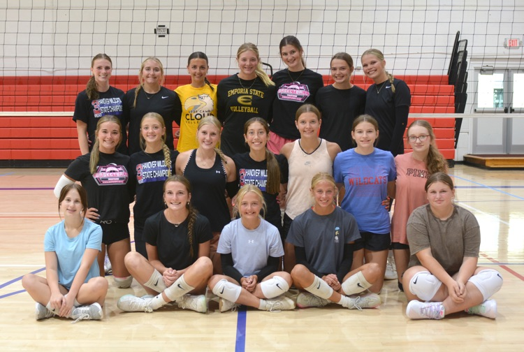 volleyball