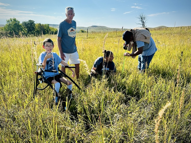 Konza prairie