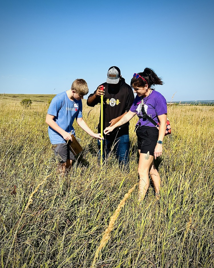 Konza prairie