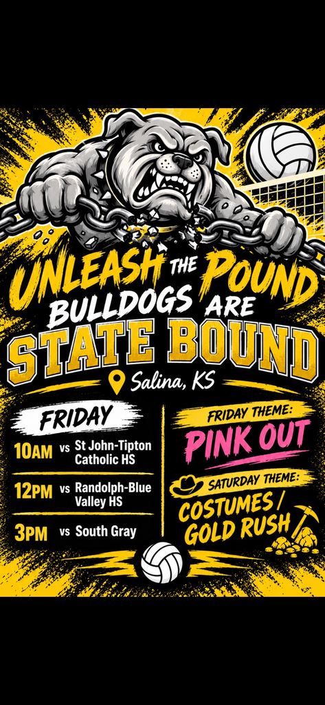 sub-state