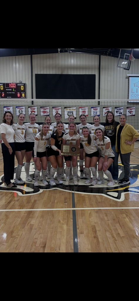 sub-state champions