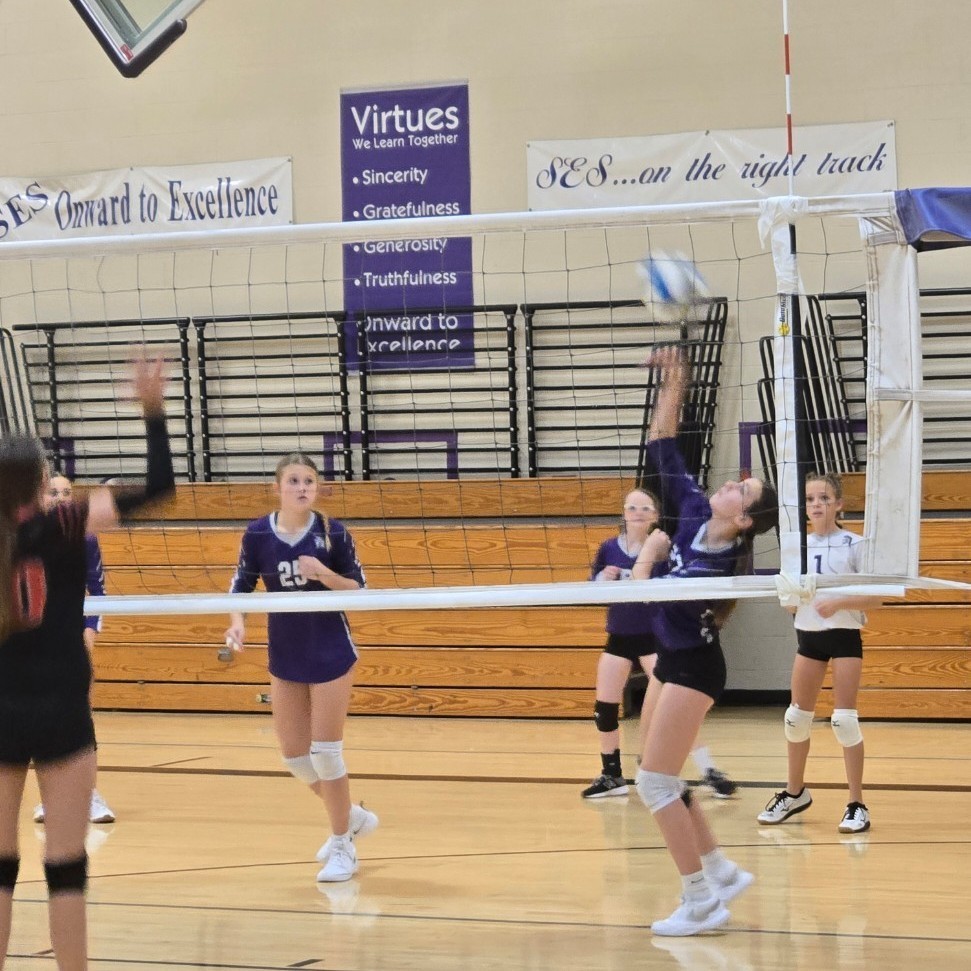 c team vb