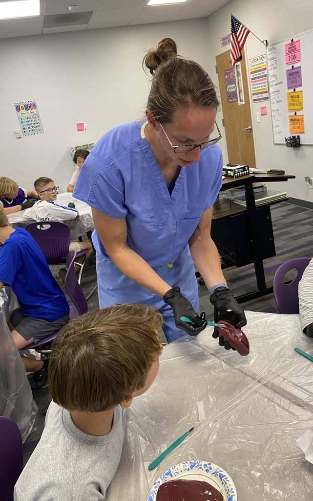 Students dissect kidneys in Science class!