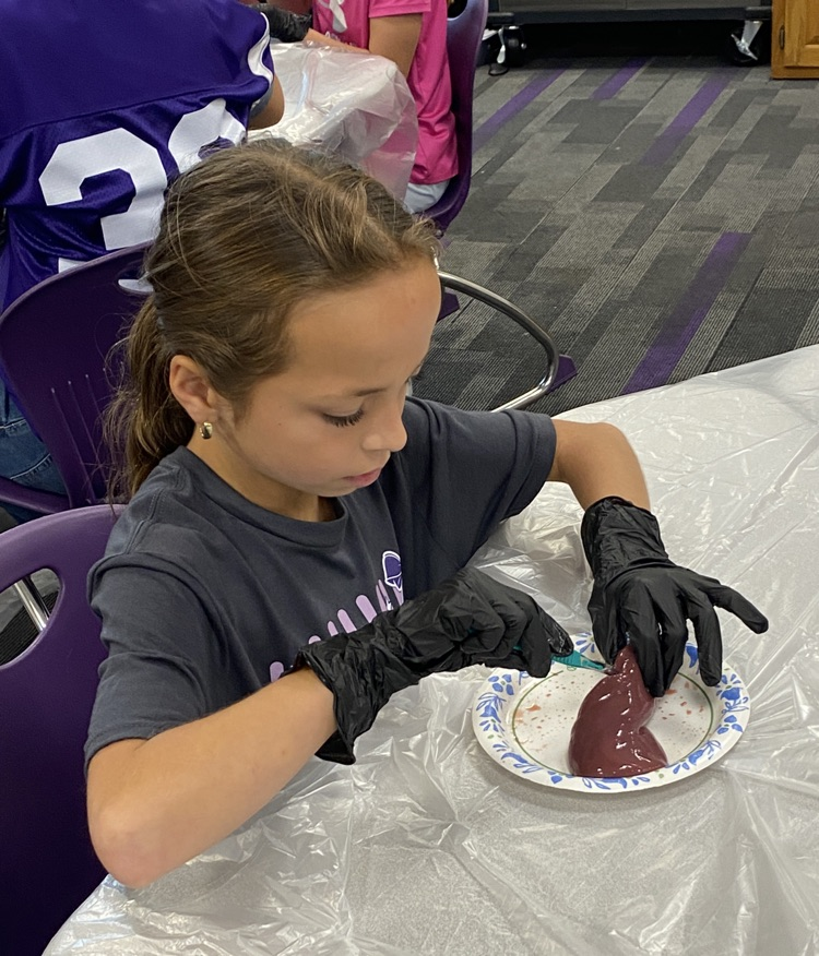 Students dissect kidneys in Science class!