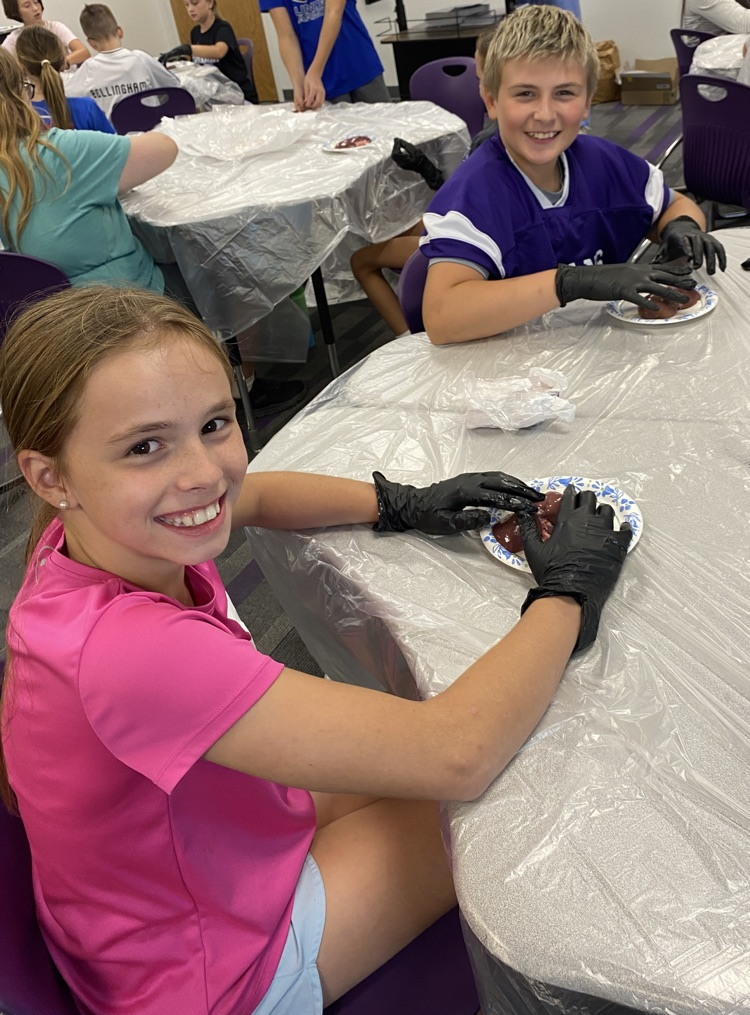 Students dissect kidneys in Science class!