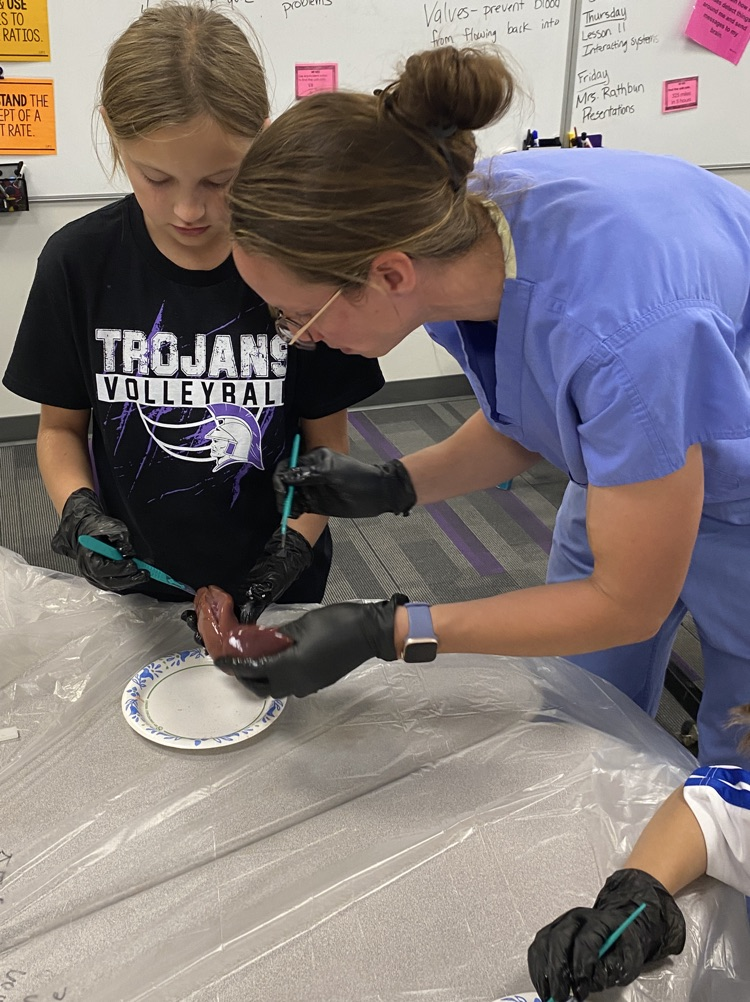Students dissect kidneys in Science class!