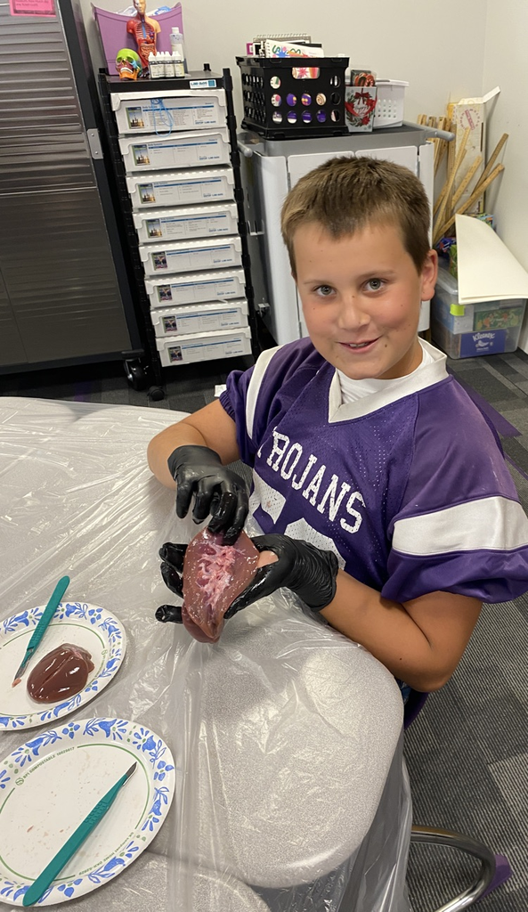 Students dissect kidneys in Science class!