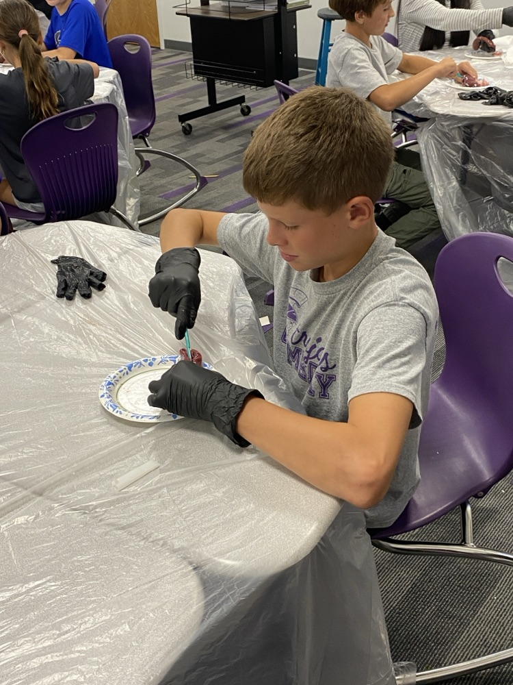 Students dissect kidneys in Science class!