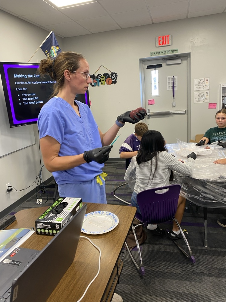 Students dissect kidneys in Science class!