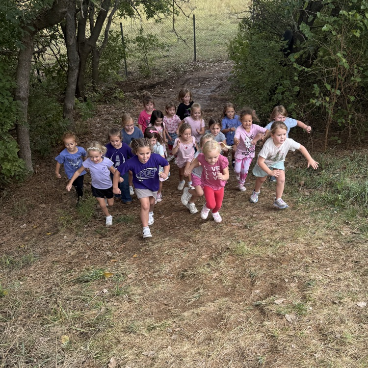 run4