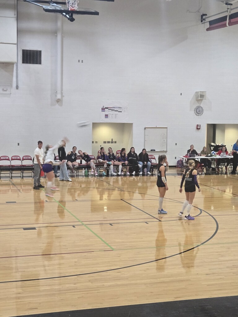 reg vb 2