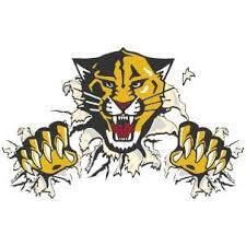 wildcat