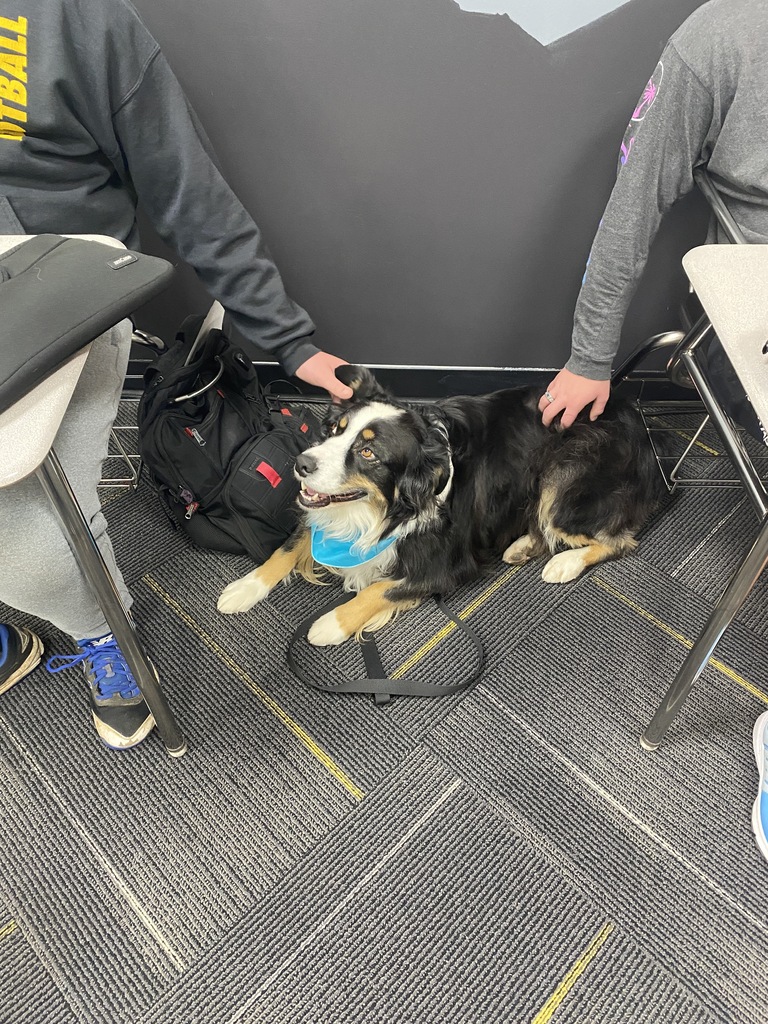 Jag gets love while HHS students work