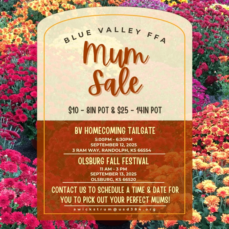 Mum Sale