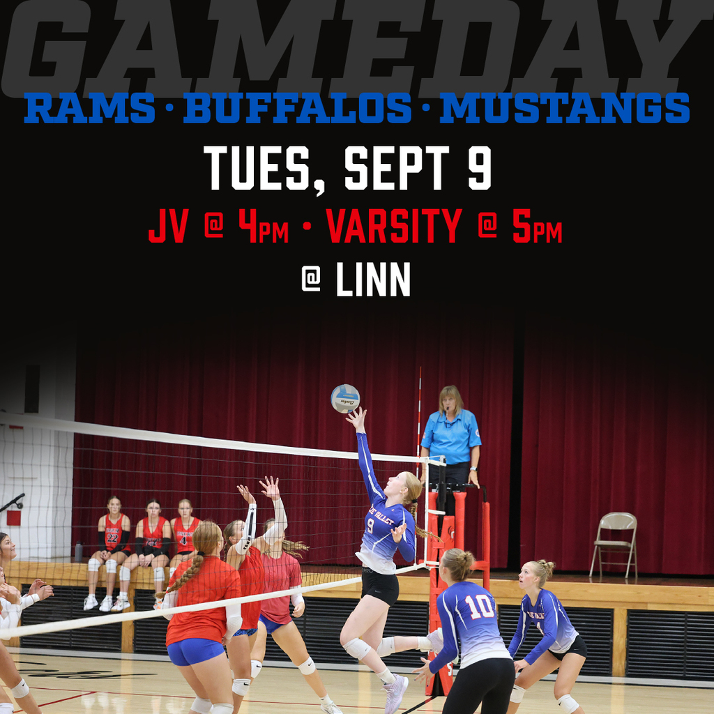 Volleyball at Linn