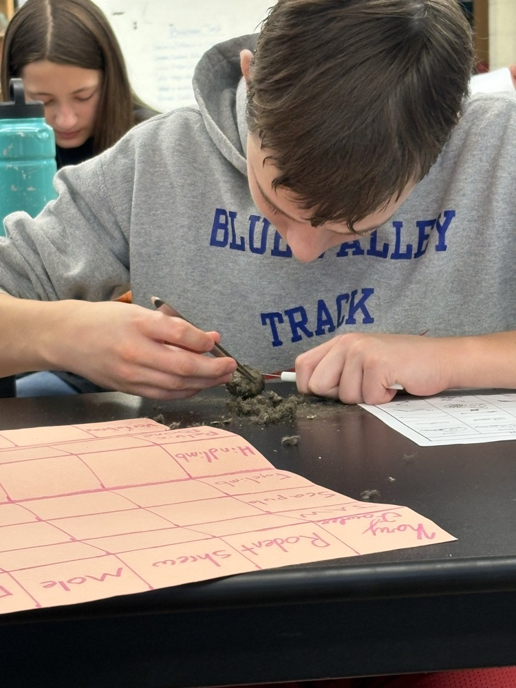 dissection 3