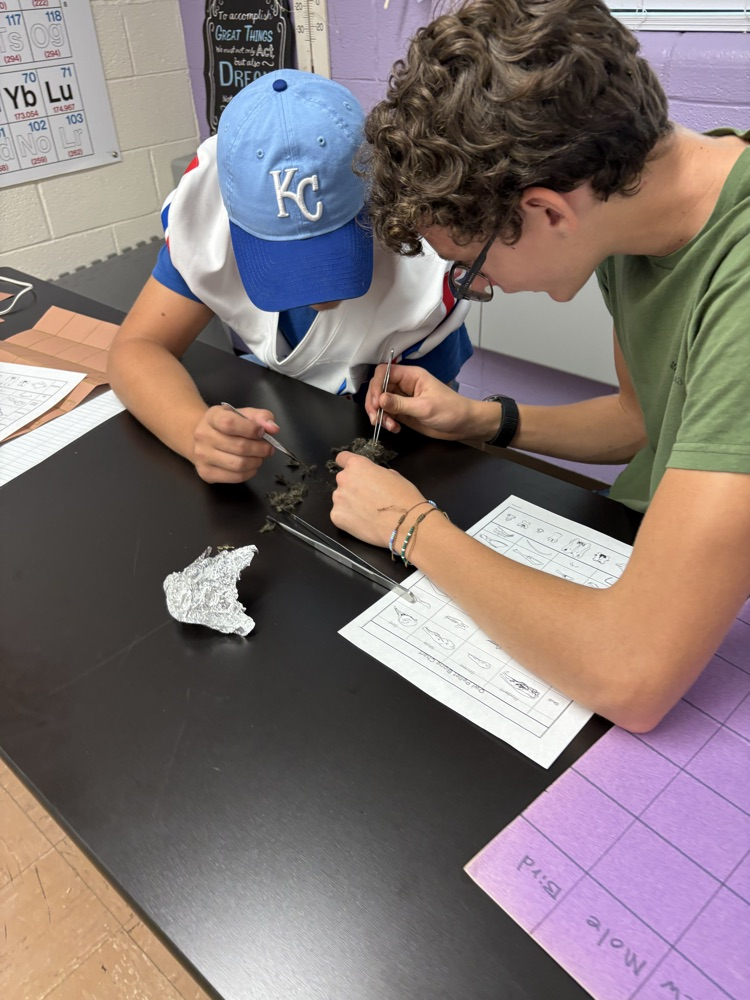 dissection 5