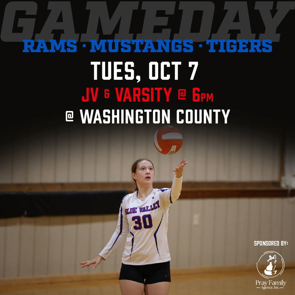 HS VB