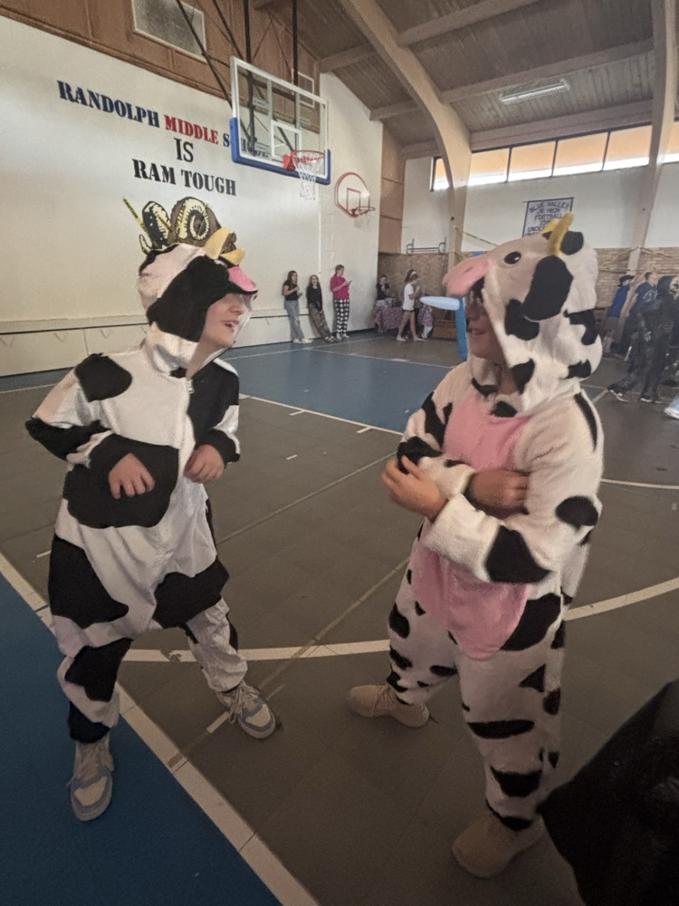 Rounded up a small herd of Holsteins...