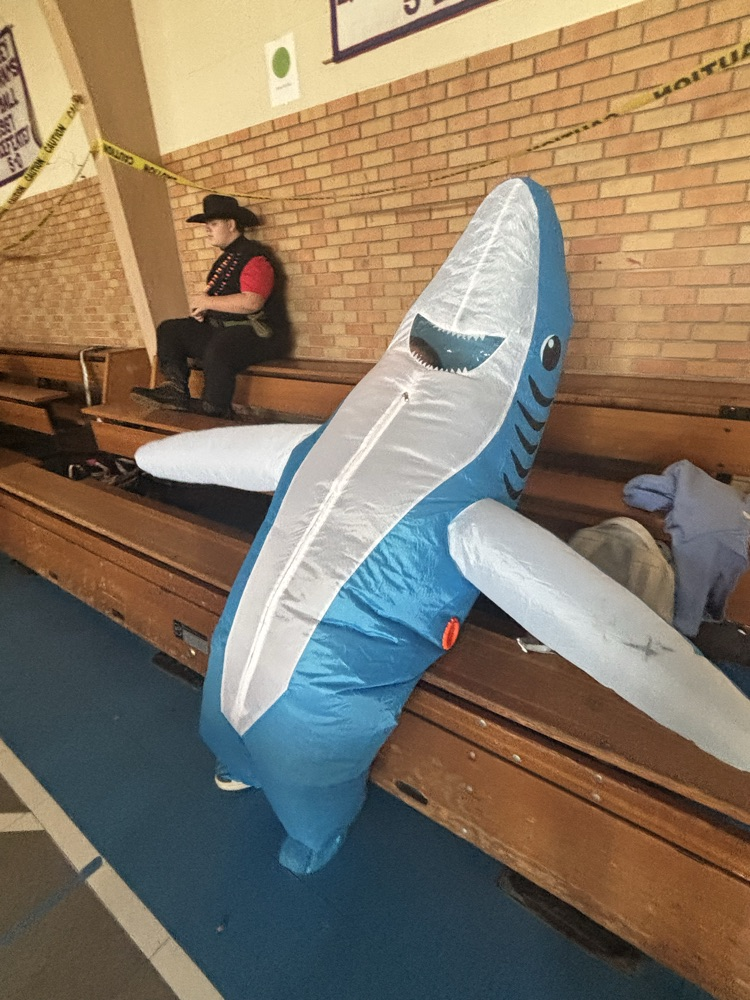 Shark…taking a breather