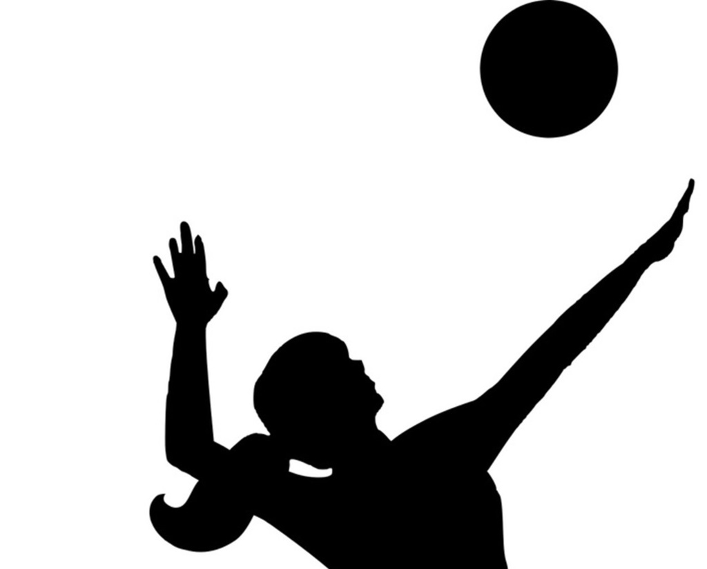 vb