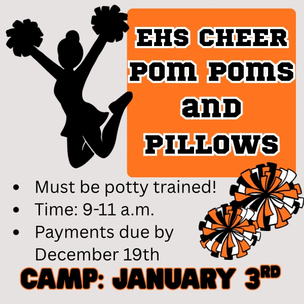Pom Poms and Pillows 1/3/26