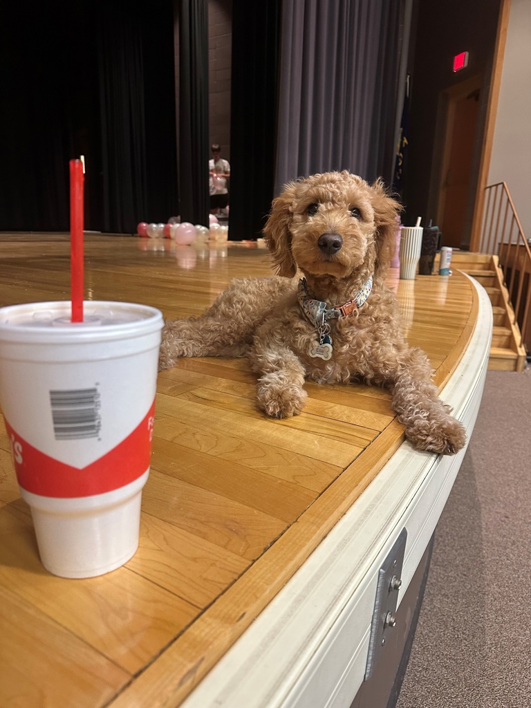 2026 Prom Decorating